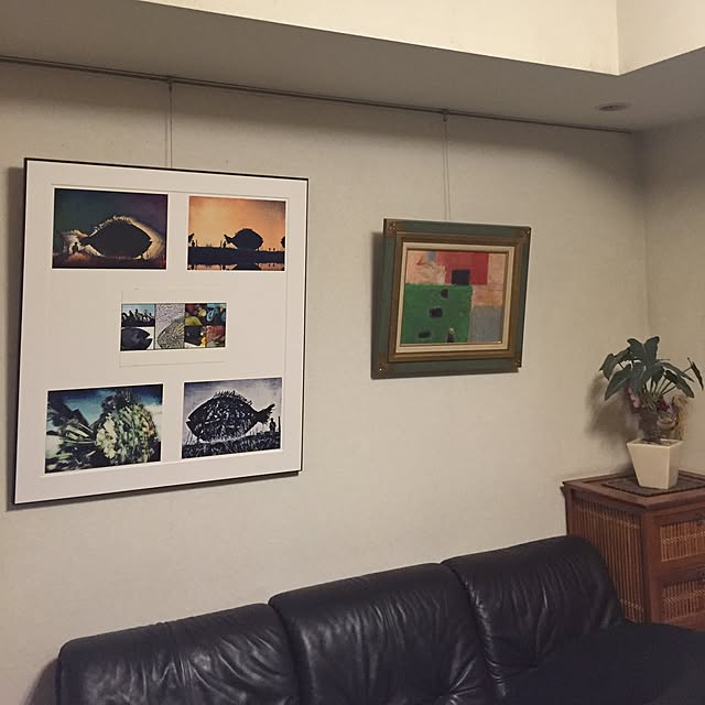 emiemiさんの実例写真