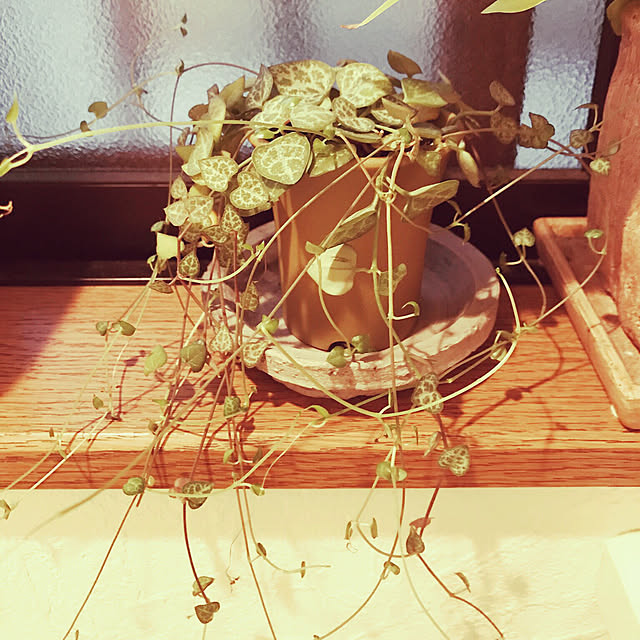 HANAさんの実例写真