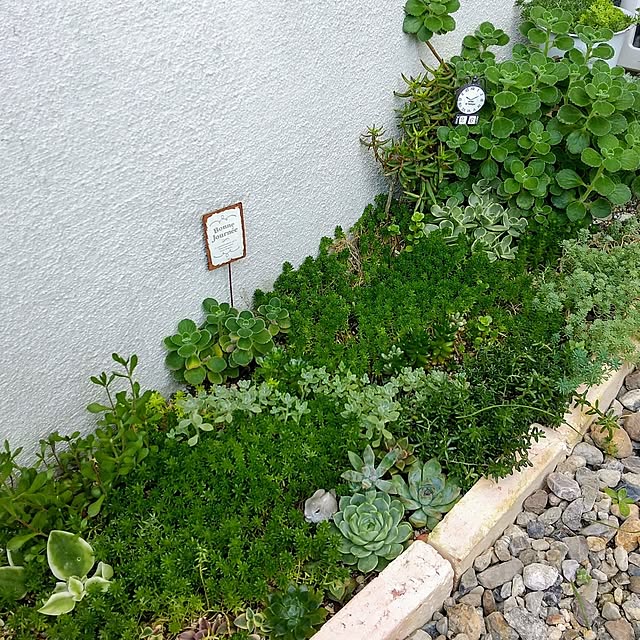 meiさんの実例写真