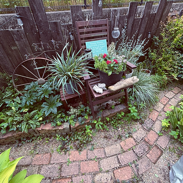 maimai0110さんの実例写真