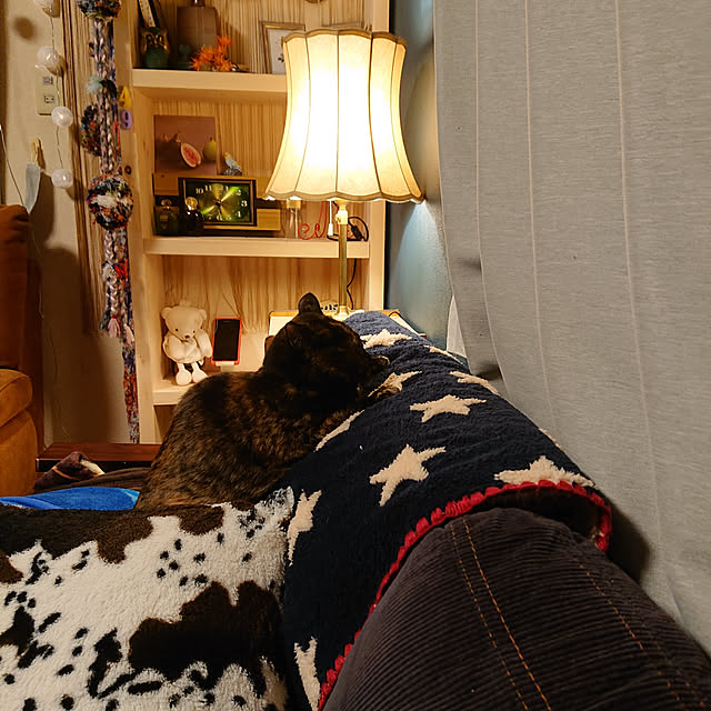 tyunaさんの実例写真