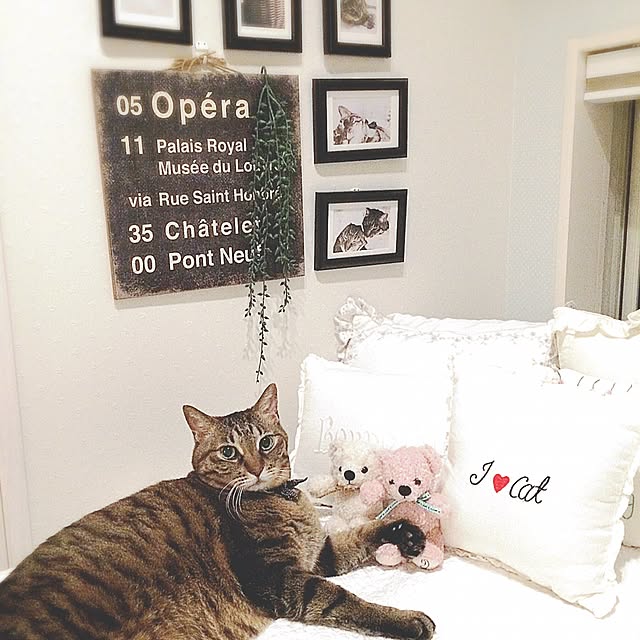 lovecatさんの実例写真
