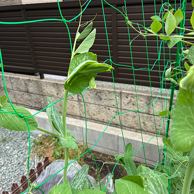 sansanさんの部屋