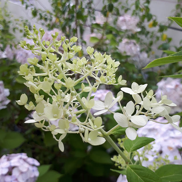 min_nimさんの実例写真