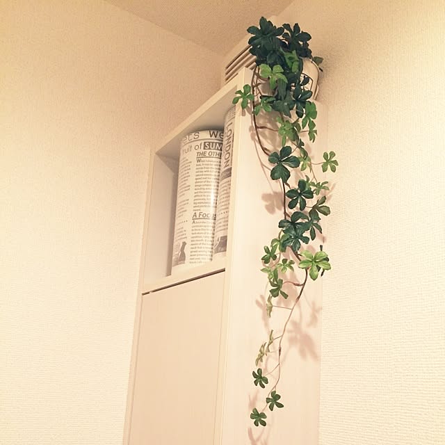 Chamさんの実例写真