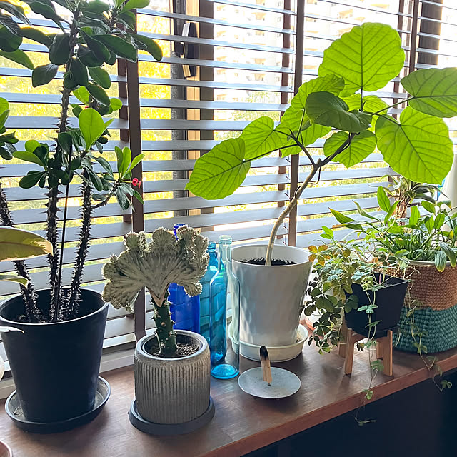 kan2さんの実例写真