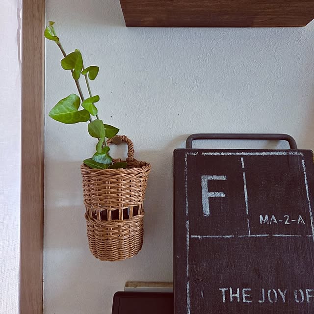 satomiさんの実例写真