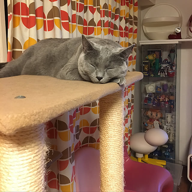 ikettenさんの実例写真