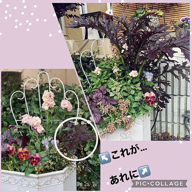 yukarin-gardenさんの実例写真