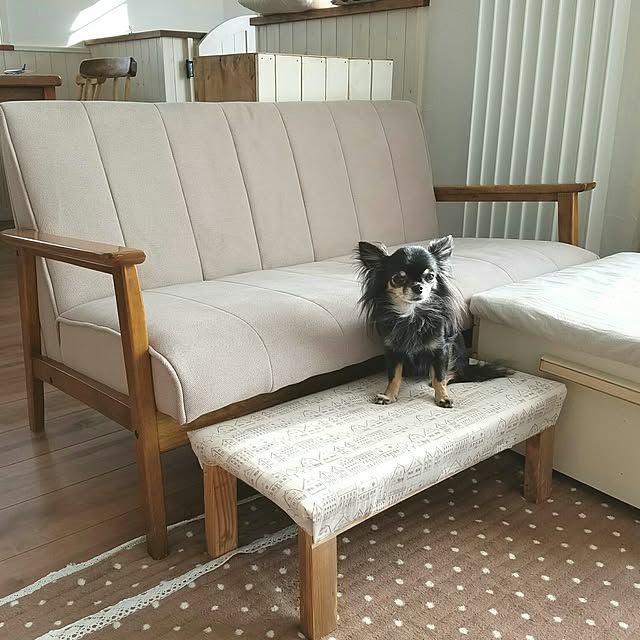 cotubuさんの実例写真