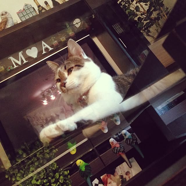 机のインテリア実例 - 2015-08-31 02:25:53