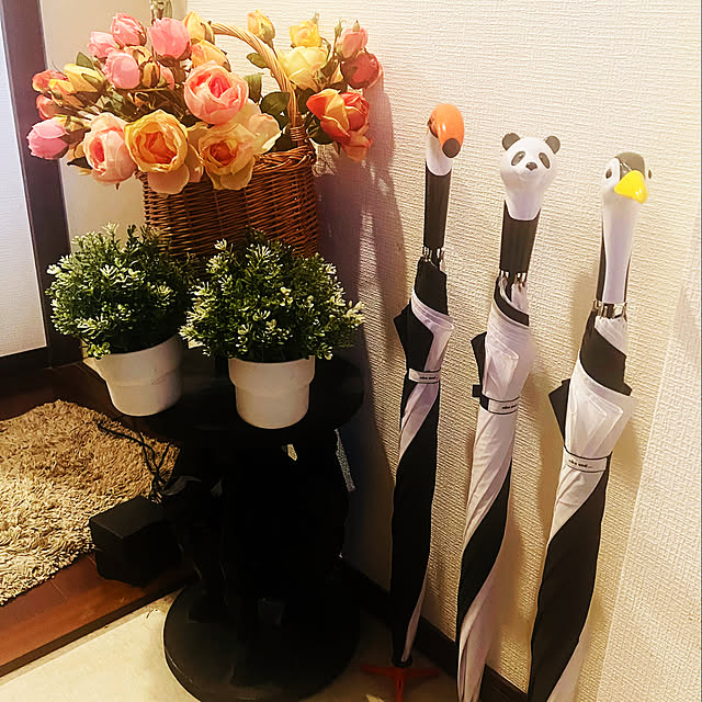 ren-barongさんの実例写真