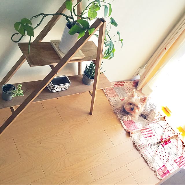 porontonoさんの実例写真