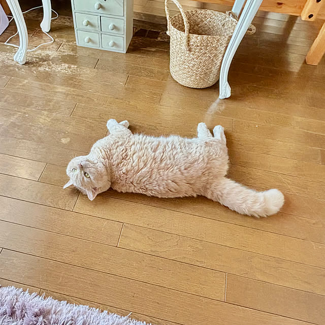 naokoさんの実例写真