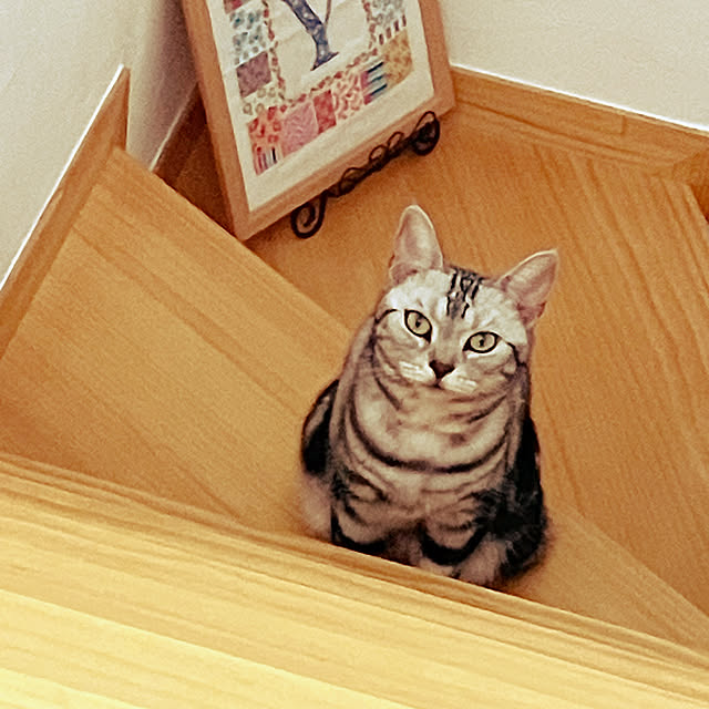 wahahaさんの実例写真