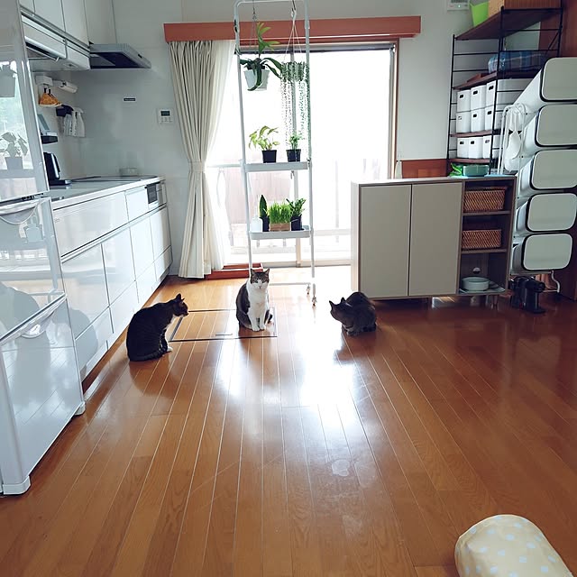 nachiさんの実例写真