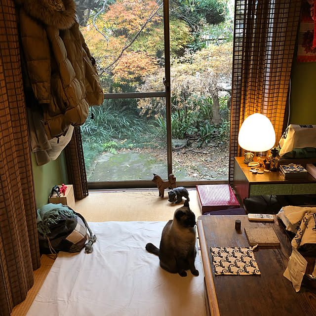 neko-2.2.2runmuさんの実例写真