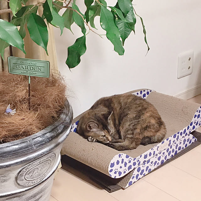 oasisさんの実例写真