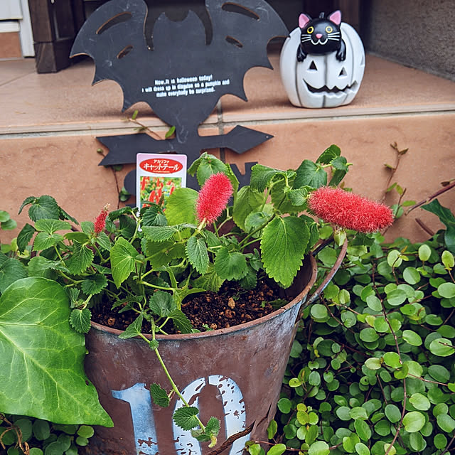 HIROMINさんの実例写真