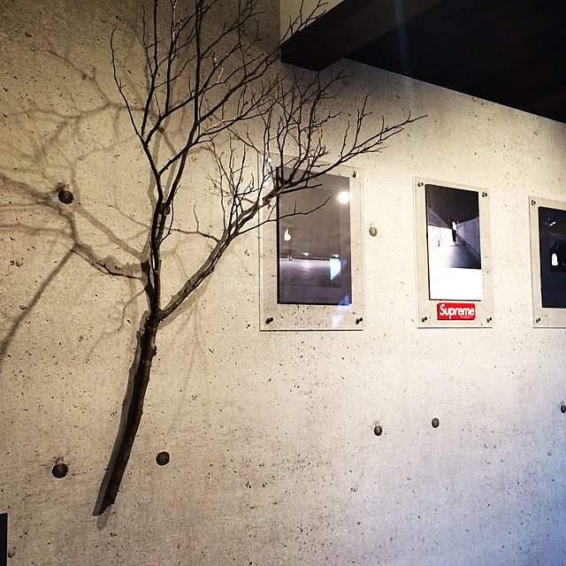 BIRDさんの実例写真