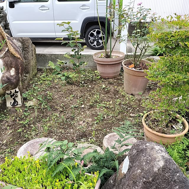 sumimarumiさんの部屋