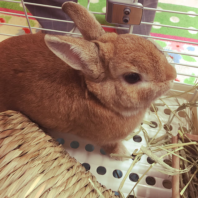 Yasuyukiさんの実例写真