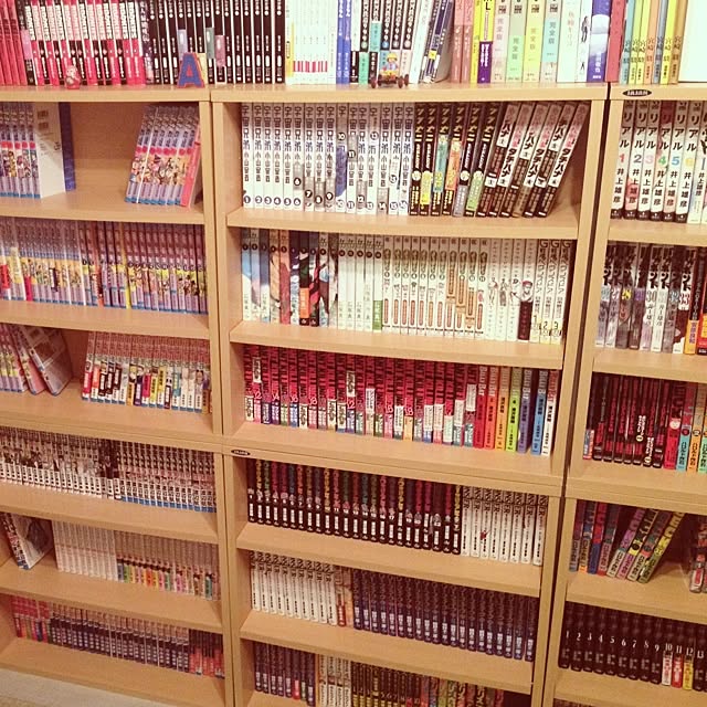 necodakakarichoさんの実例写真