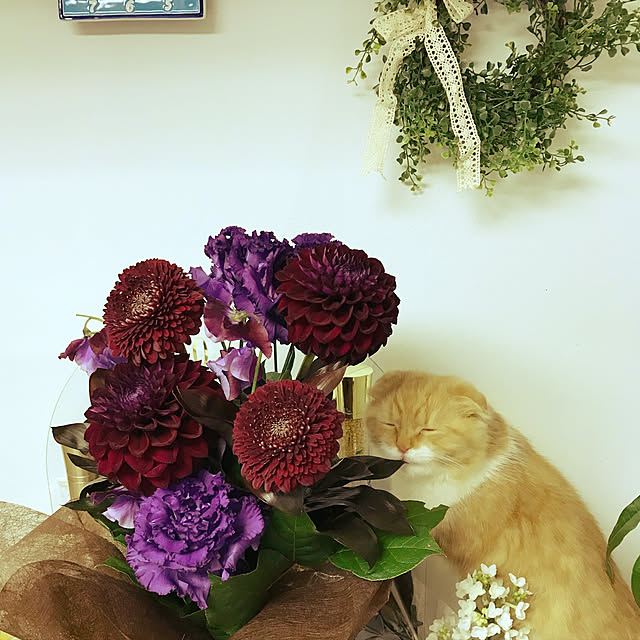 m.kantoh18_mikkoさんの実例写真