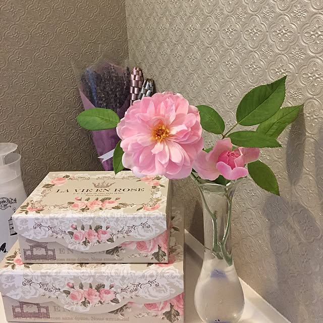 nonさんの実例写真