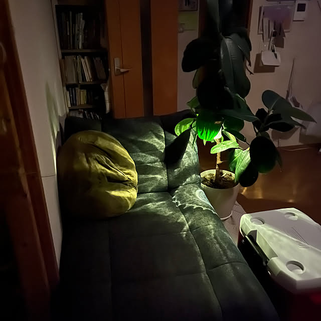 satoさんの部屋
