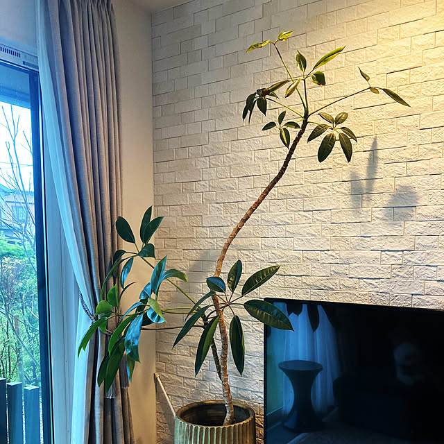 matthewさんの部屋