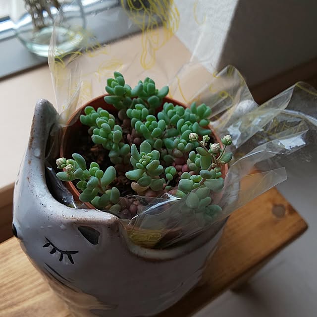 KOHAKUさんの部屋