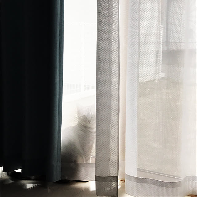 tajaboさんの実例写真