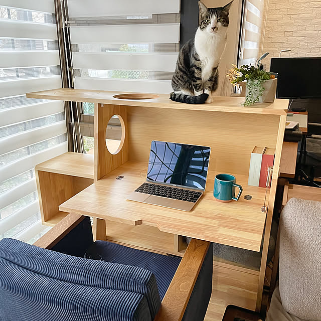 Yukinekoさんの部屋