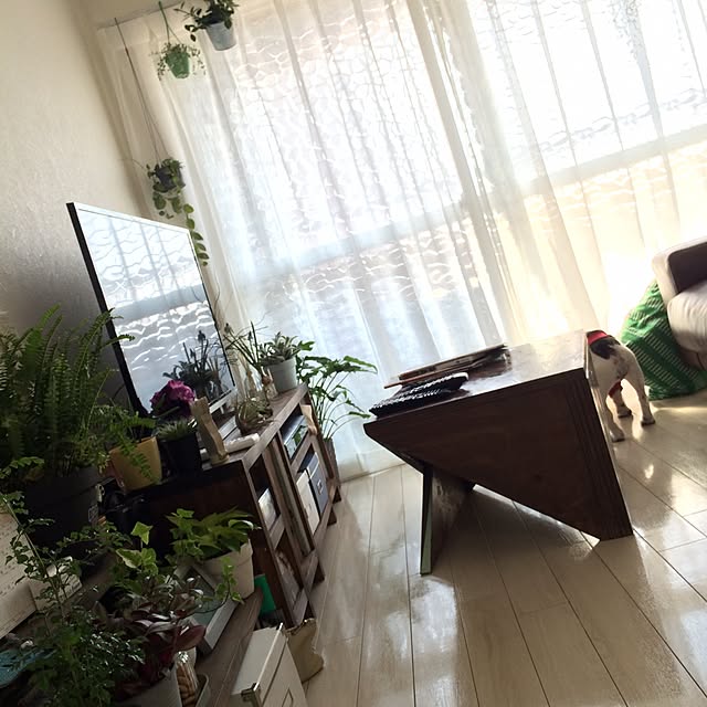 Momocoさんの実例写真