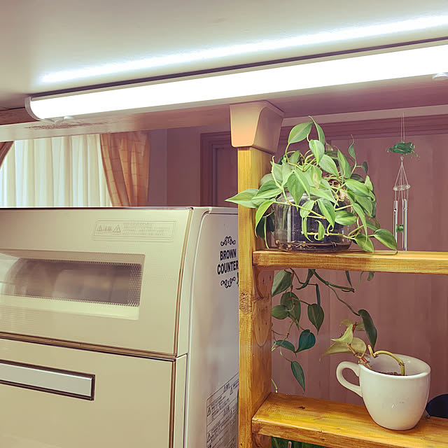 greenfrogさんの実例写真