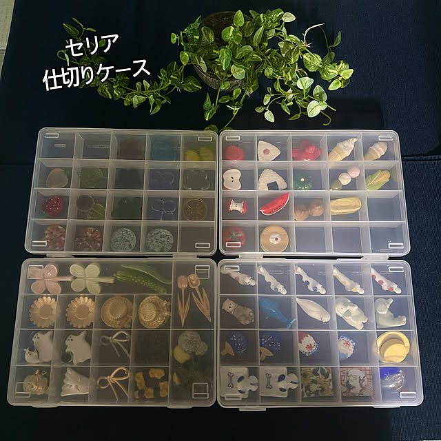 miyuさんの部屋