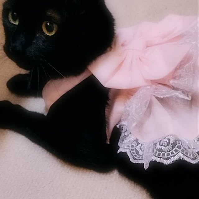 Tさんの部屋