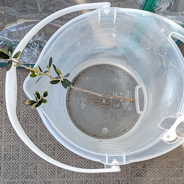 mi-saさんの部屋