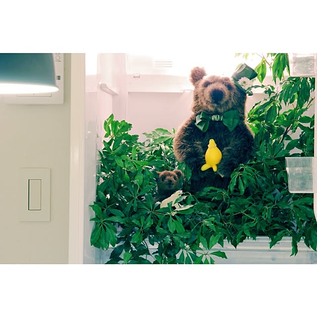 Atsushiさんの実例写真