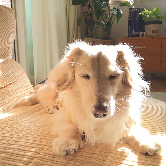 Erinさんの実例写真