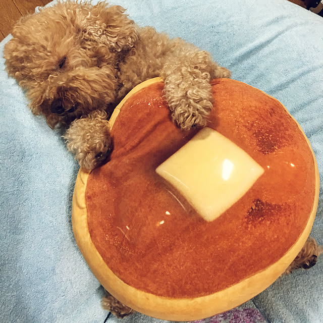 ronmaruさんの実例写真