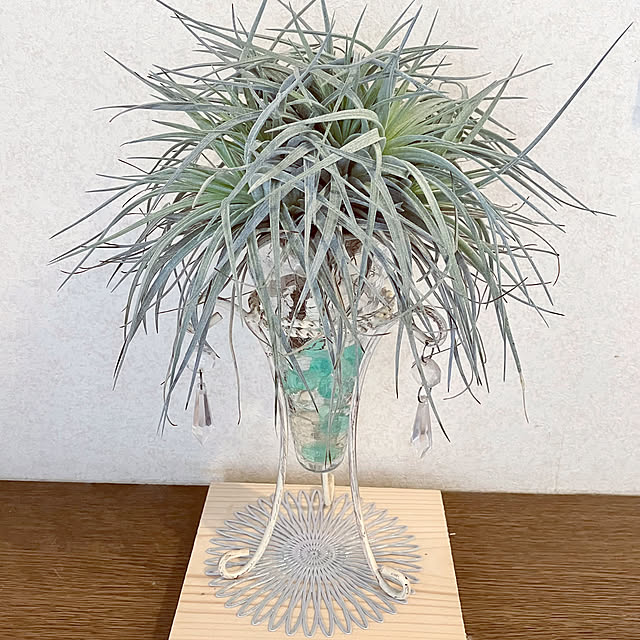 tararaさんの部屋