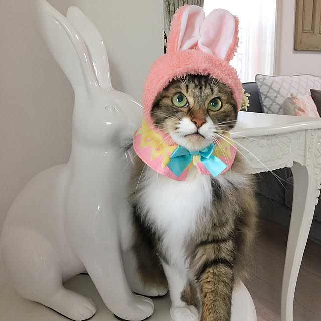 yuchiさんの実例写真