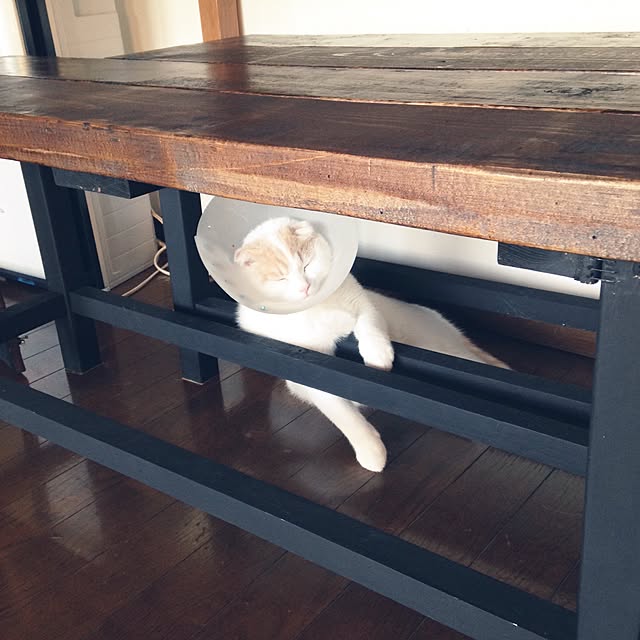 onojiijiさんの実例写真