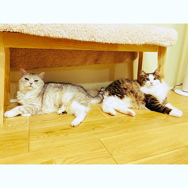 sakura_171220さんの実例写真