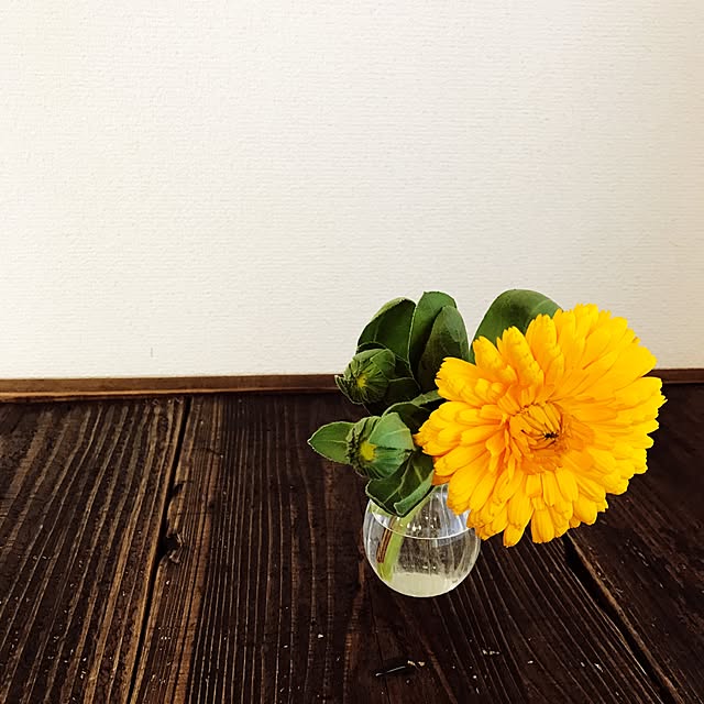 kyokoさんの実例写真