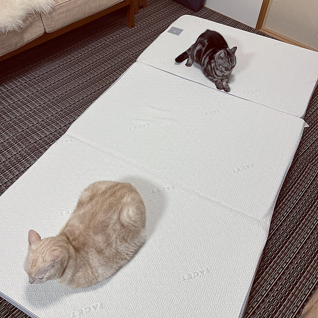 hiyupan88さんの実例写真