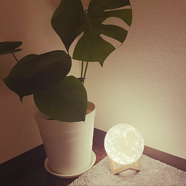 kikiさんの実例写真