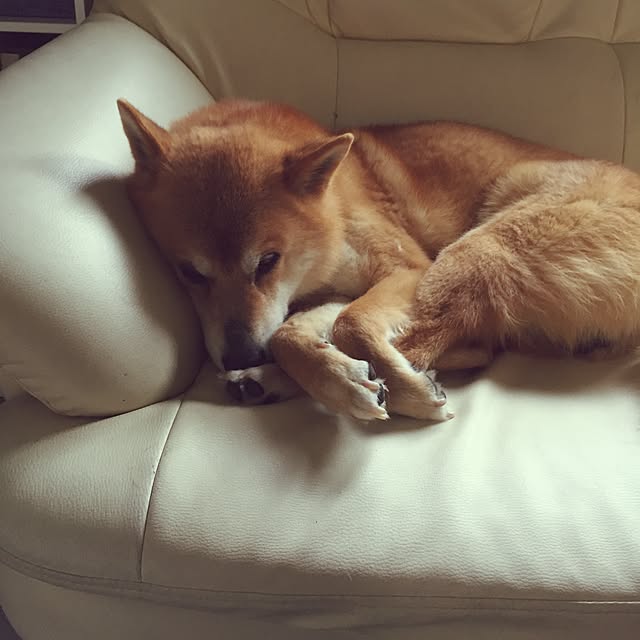 moririnさんの実例写真